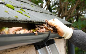 gutter cleaning Collins Green